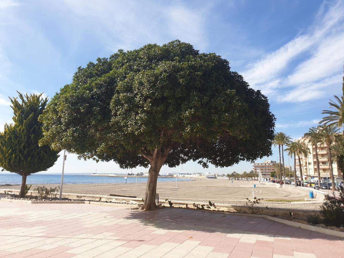 Beautiful Flat With Sea View And Sound Of The Surf Apartman Santa Pola Kültér fotó